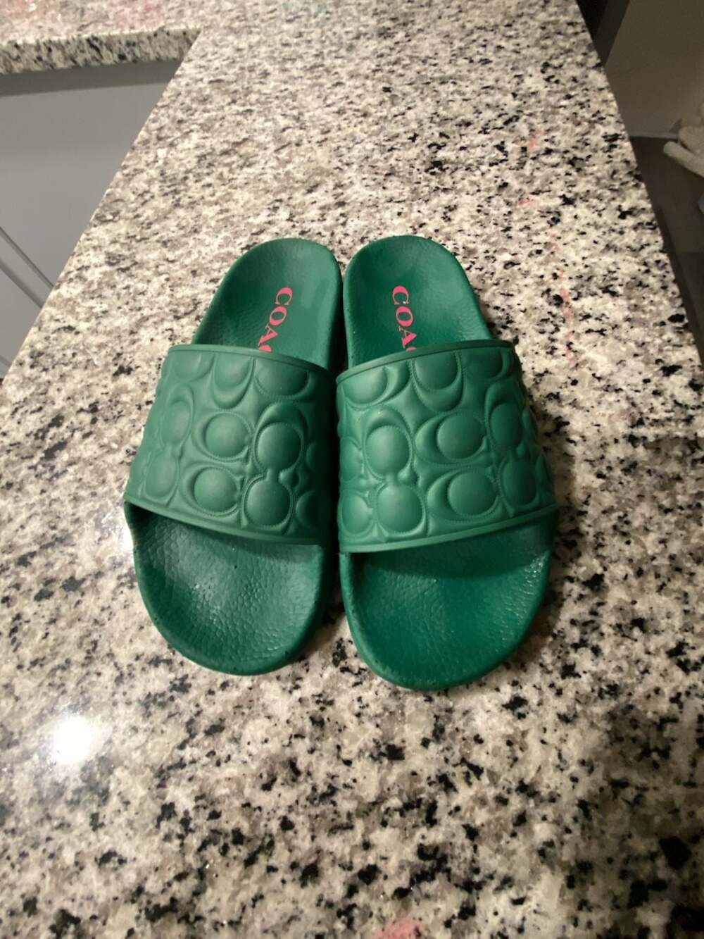 COACH Signature C Pool Slide Sandals in Green